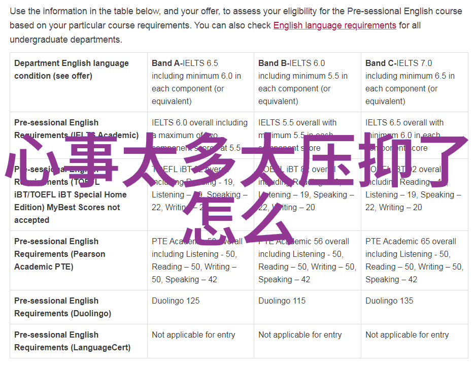 混血帅哥跨文化魅力的交响