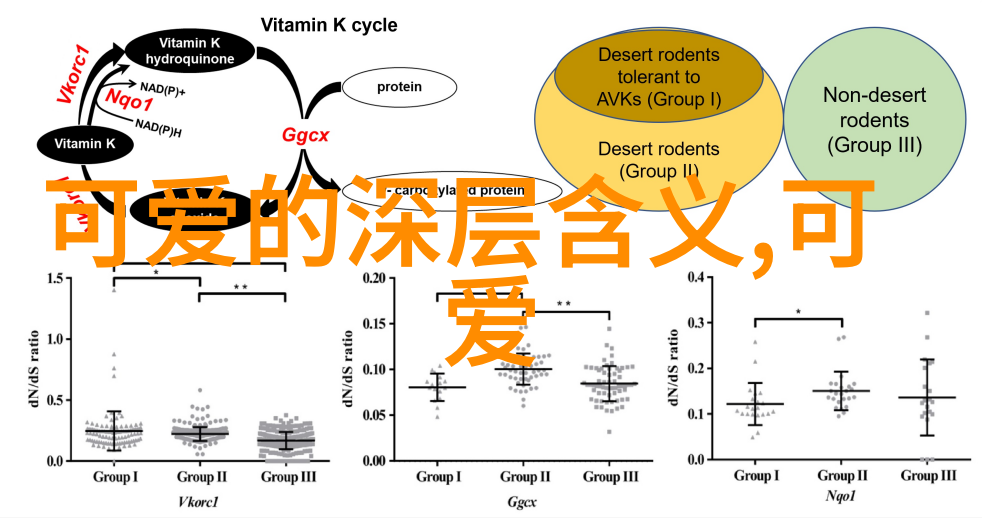 吓人专用小视频可保存-恐怖影像库惊悚短片的永恒收藏