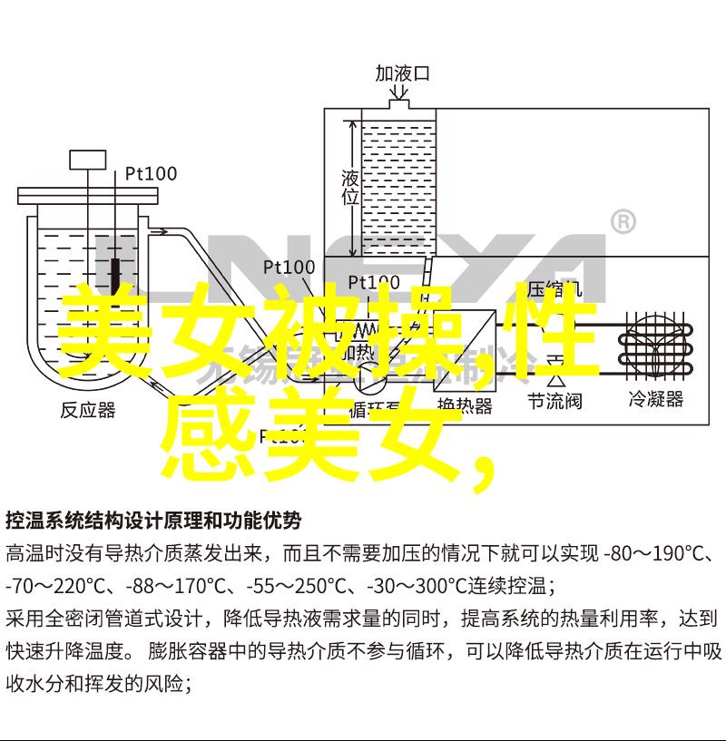 我老婆是大明星她的职业生涯中遇到了哪些挑战