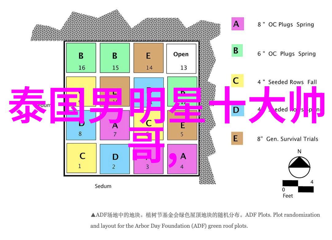 如何治愈自己的心情 - 心灵的疗愈之旅从忧伤到和谐