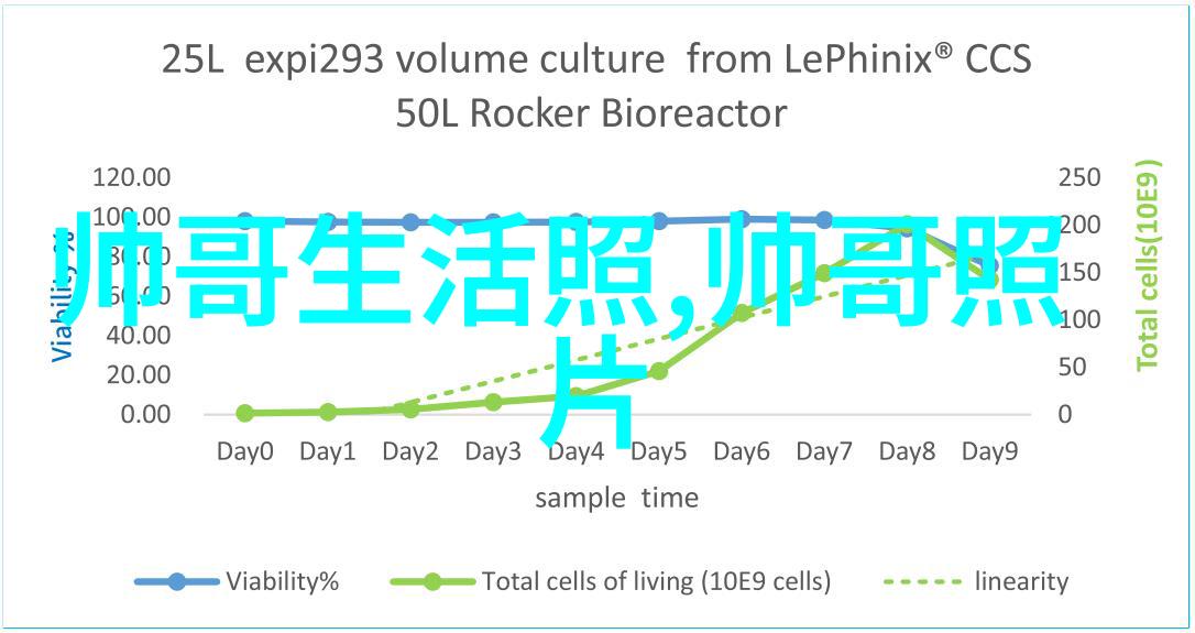 早晨好问候语大全每日新鲜的早上问候