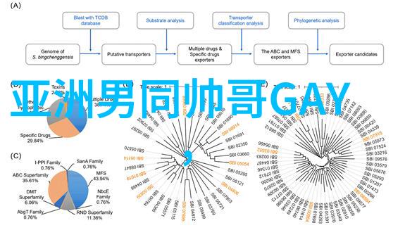 小可爱猫咪超萌的猫咪昵称