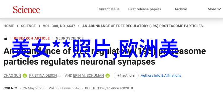 群聊社区我们这群人一个即时分享生活点滴的故事