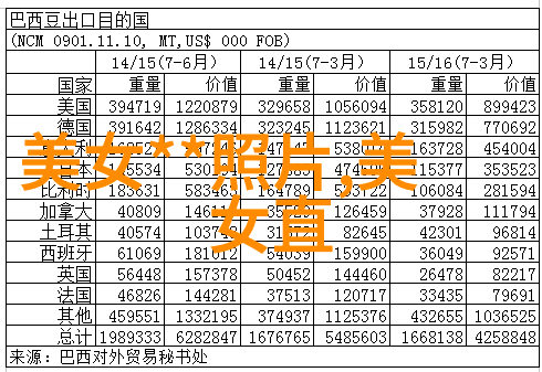 我是大明星闪耀红毯的中心焦点