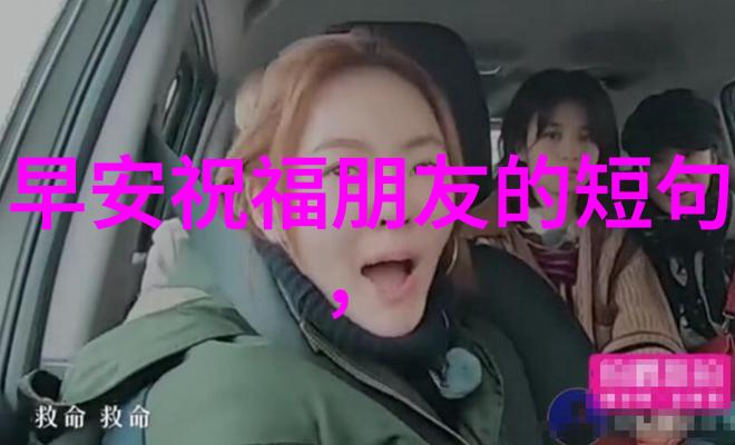 夜幕下的翩跹星光下乌鹊的南方之旅