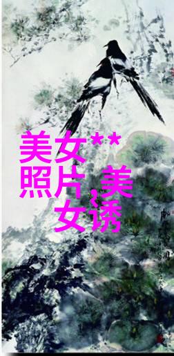 日本野花的绚烂舞步探索中文字幕MV背后的文化故事