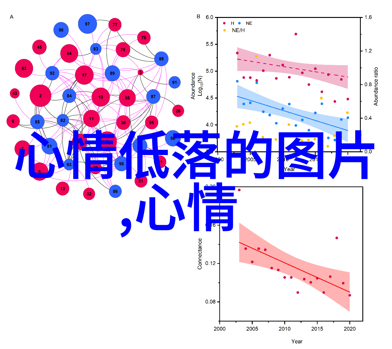 网络风暴群聊中的隐私危机与女性尊严