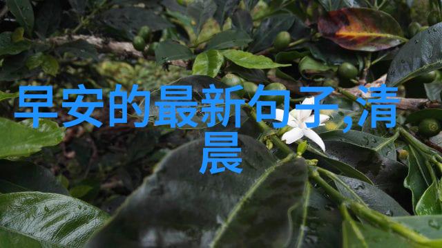 字体解码师一键识别的奇迹