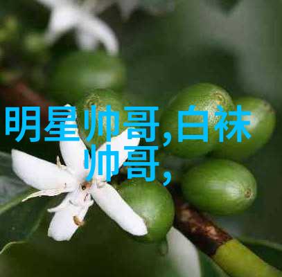 笑料百宝箱探秘各种表情包大全的魅力与文化影响