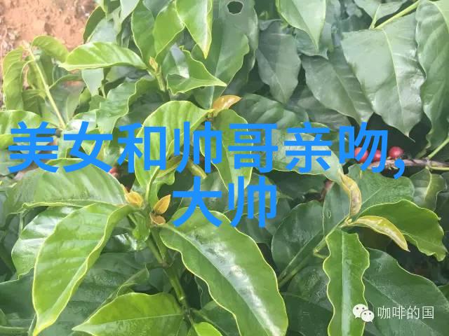 江浙沪退出下雪群聊的背后是不是也反映了人们对于生活方式改变的接受程度和心理状态