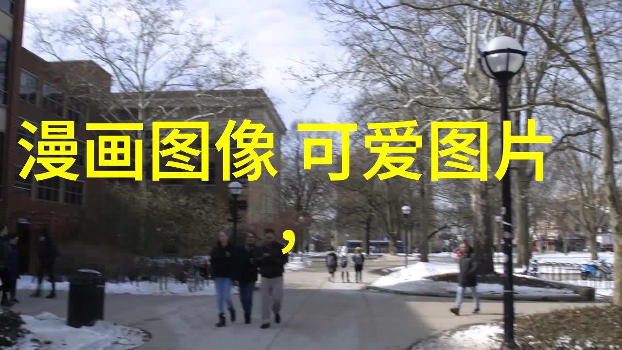 冬日可爱-绽放的雪花冬日里的温馨与美好