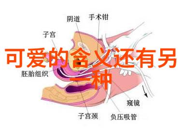 汉字的真正起源-追溯古文揭秘汉字诞生的神秘历史