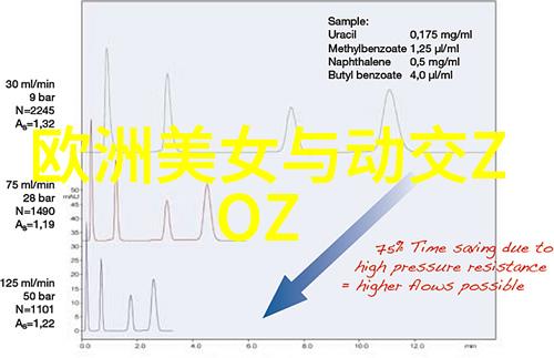 聚焦文字之美解读视觉语言中的深层意义