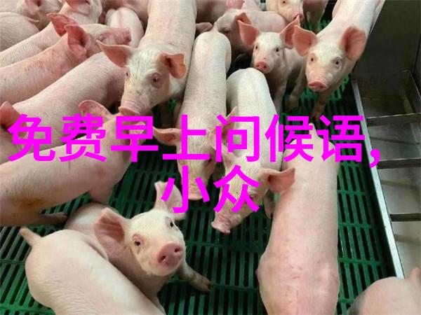 春节的源远流长探秘传统佳节的由来