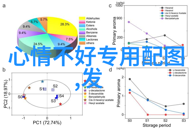 奇书间隙探秘东方文字的神秘面纱