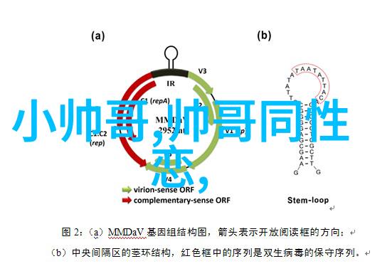 心中的火山如何抒发压抑的故事