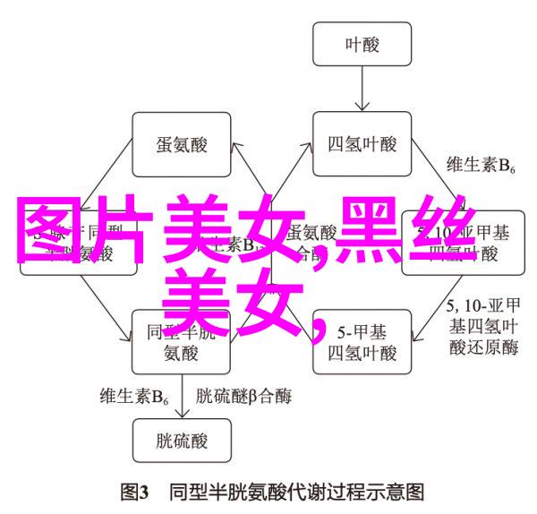 心灵之园静坐赋能