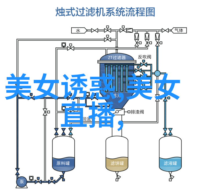 温暖雪花的绽放冬日可爱的意境与生活