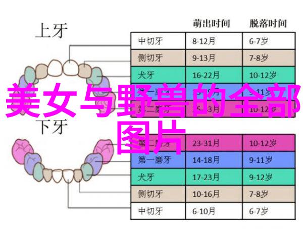 冬日可爱我和你一起享受这份温暖的时光