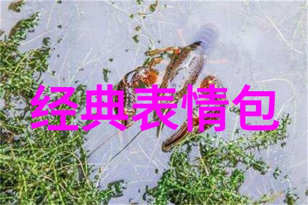 长相只是成为帅哥的条件之一吗