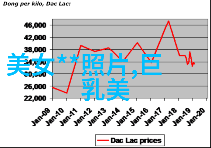 小可爱Q版英雄的萌宠冒险