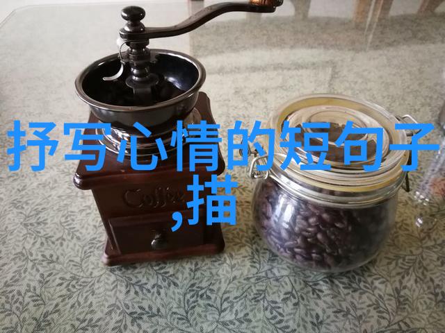 银屏上的魅力明星的独特光芒