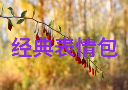 可爱卡通女生-糖果精灵的秘密花园一段关于可爱卡通女生的故事