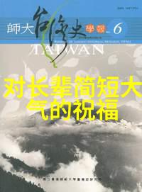 东京之光日本男星的闪耀道路