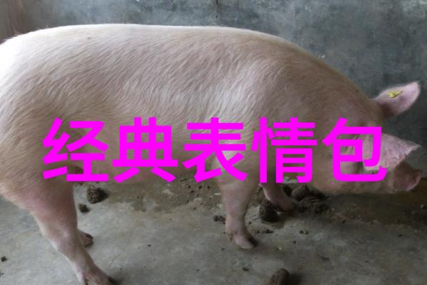 犬血价格是多少钱一斤(狂犬病抗毒血清多少钱一斤)