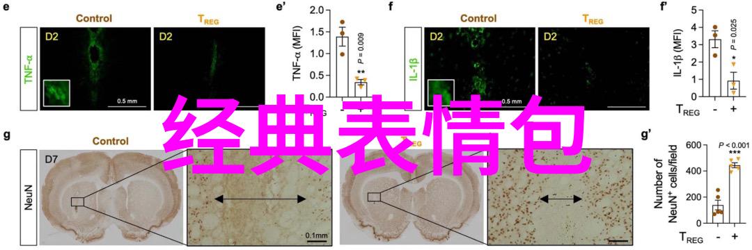 绚彩世界探秘卡通高清图片的奇幻艺术