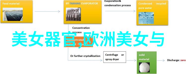 免费图片转文字软件AI识别图片文字转换工具