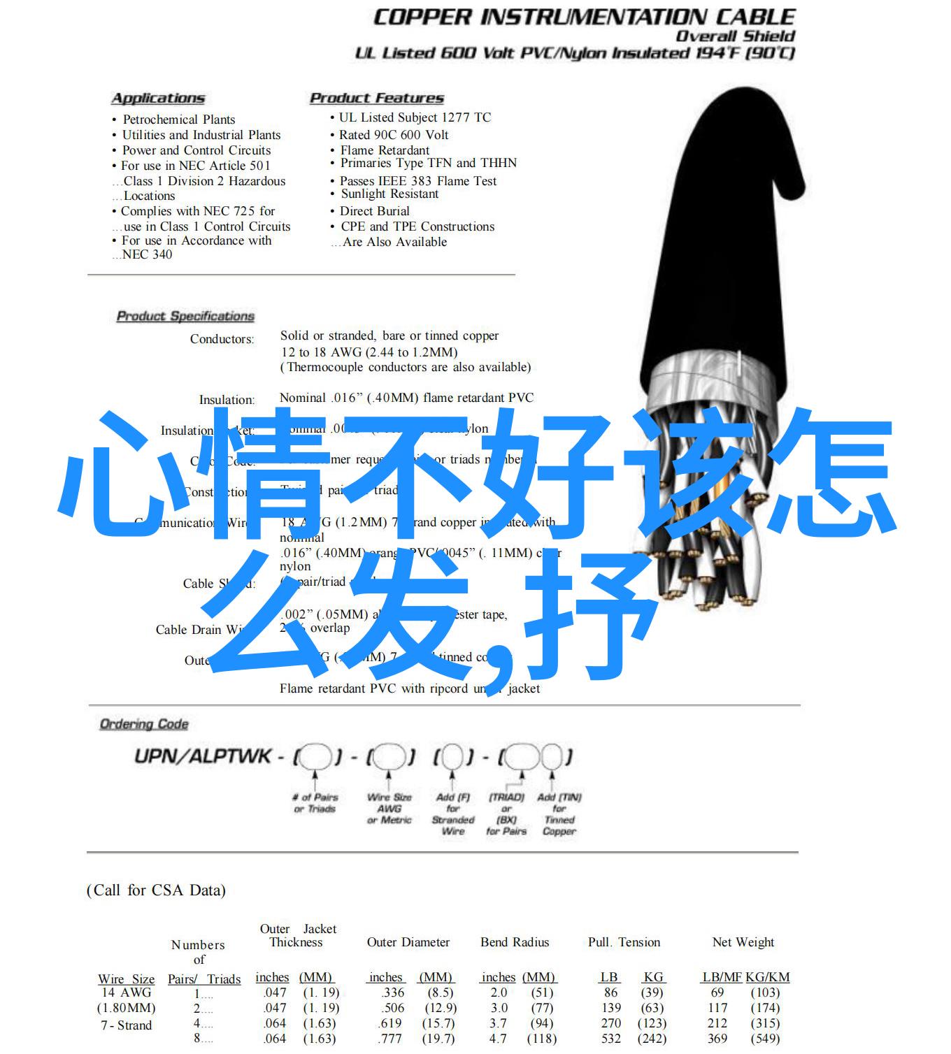 帅哥jj时尚的魅力与不羁的态度