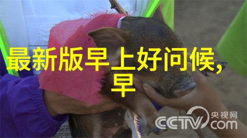 乱码之中探索中文字幕人成的迷离世界