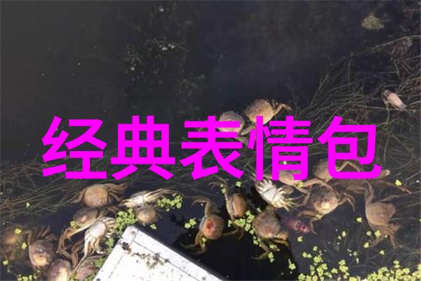 春节的钟声传承与变迁的舞蹈