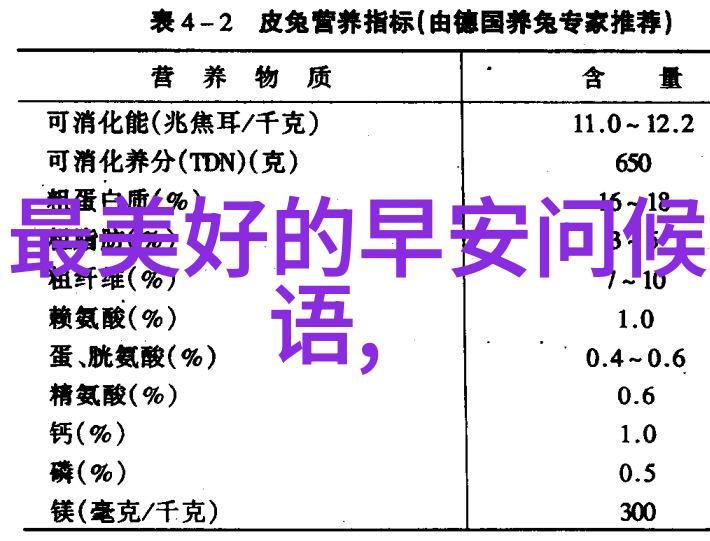 快乐的节日庆典喜庆的年夜饭