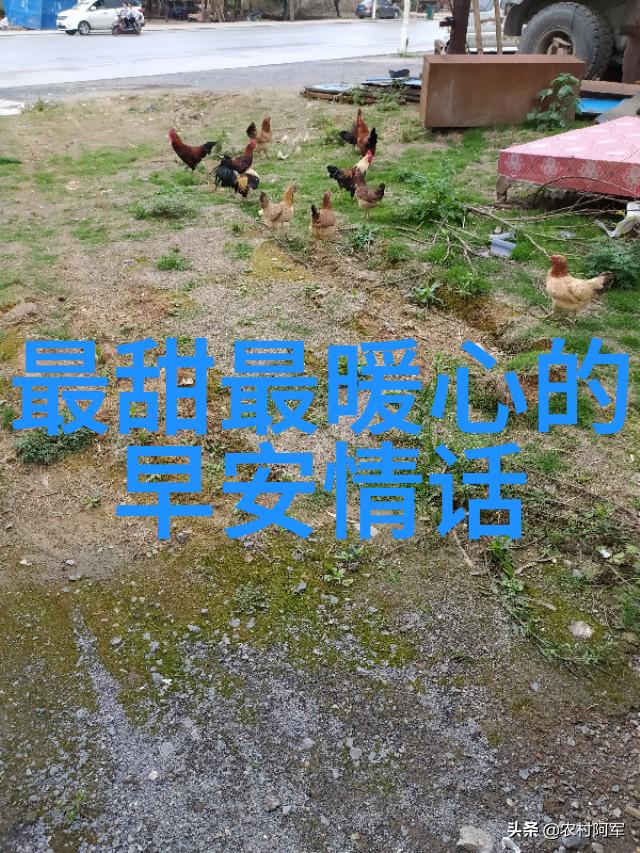 春节的钟声与灯火传统节日的温馨回忆