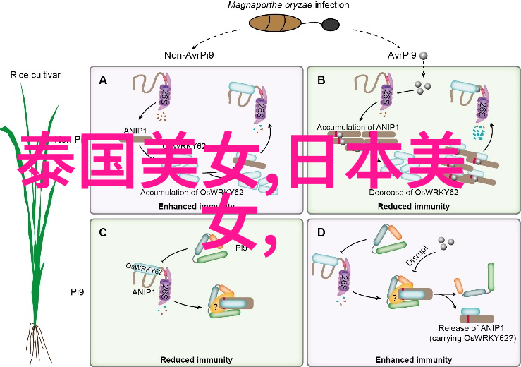 晨光破晓问候一句早上好啊你昨晚也没睡坏眼吧