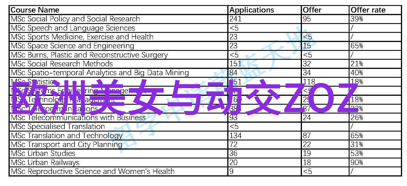 解读文化符号卡通兔子的角色意义