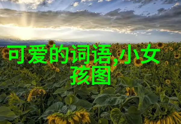 重点看文字的图片 - 解读视觉语言中的信息密度与艺术表达