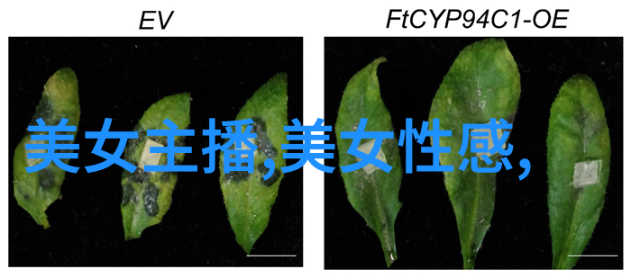 美女视频精选时尚魅力与生活点滴