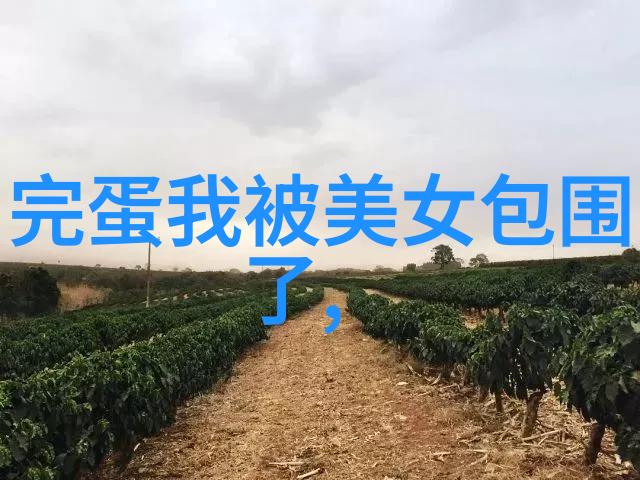 彝族的传统节日-缤纷彩虹彝族春节的文化奇观