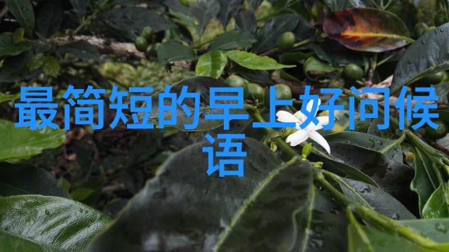 你是否知道面对小猪的打架记得关注CCTV6这里有5点宝贵建议让你轻松解决问题