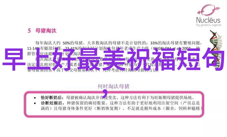 汉字学习-掌握8000个常用汉字的秘诀如何高效记忆和应用