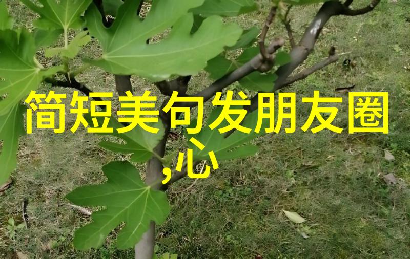 白族的传统节日皎洁文化的盛宴与温馨回忆