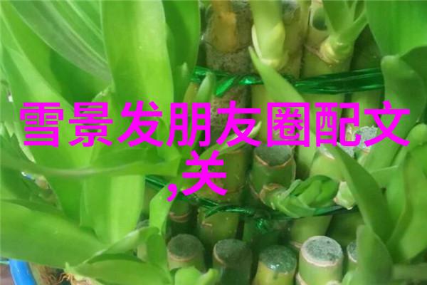 无声胜喧言网络上的代表爱的网名在人群中悄然存在