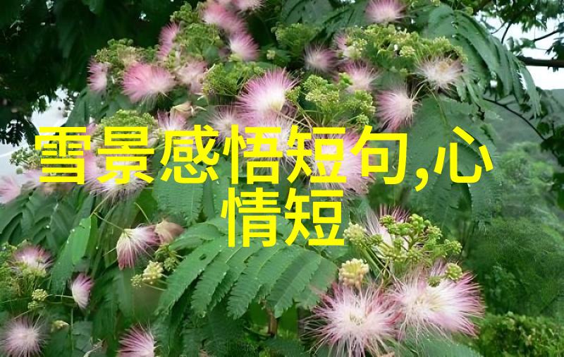 抱歉小女生卡通数据分析