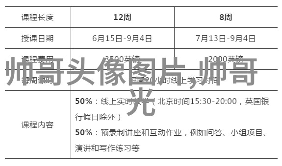 跨越文化的交流国际节日之美