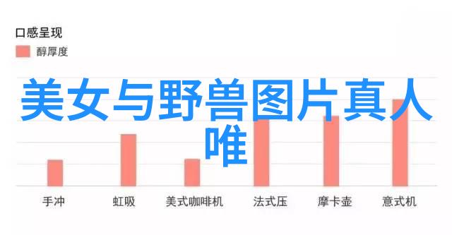 生僻字知识大放送如何运用它们增色文笔