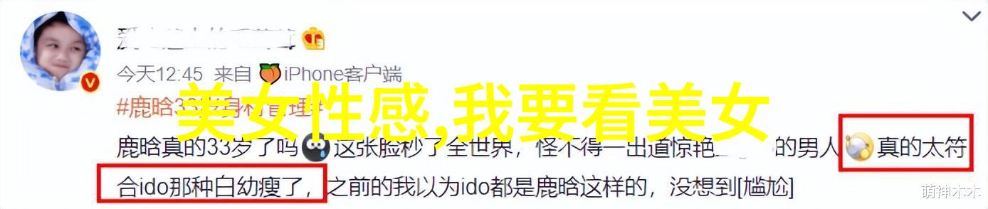 字语挑战解锁汉字之谜的10个难题