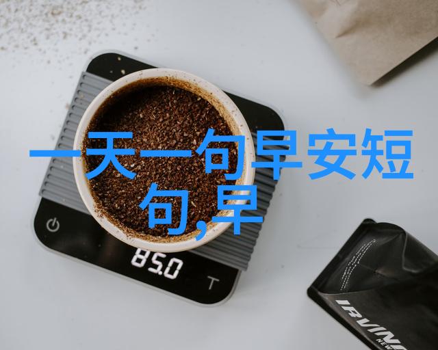 明星同乐会精彩瞬间星光聚焦的欢乐时刻